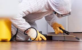 Trusted Turlock, CA Pest Control Experts